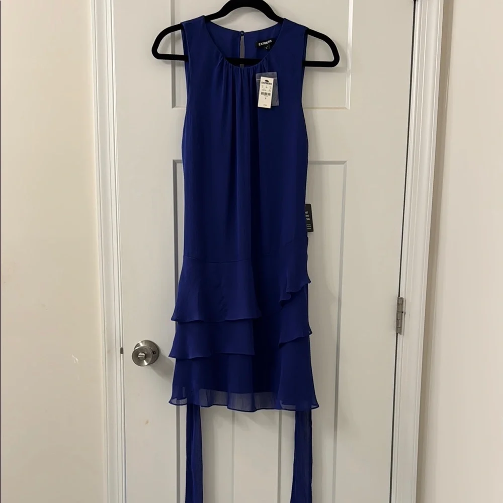 Express Blue Ruched Dress - Picture 5 of 6